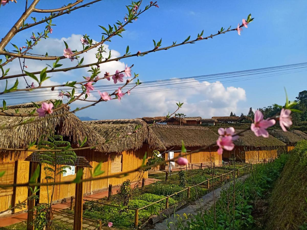 Hoàng Su Phì Bungalow Exterior foto